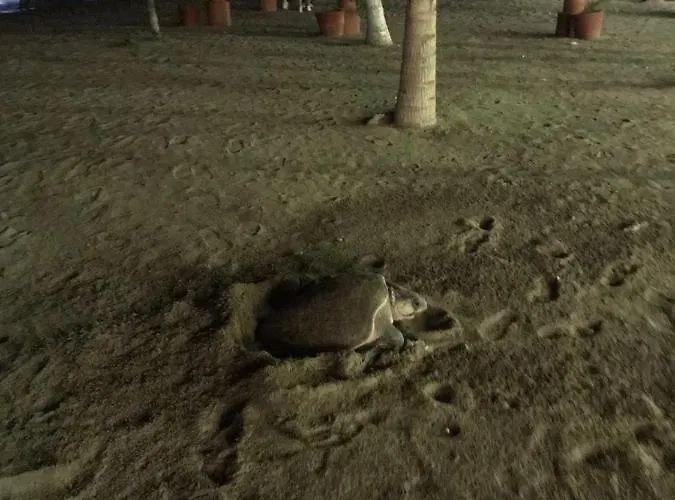 Casa La Playa Zihuatanejo