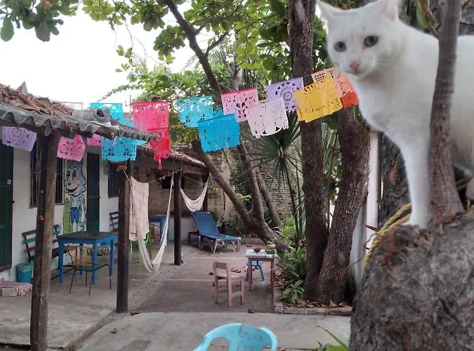 Casa La Playa * Zihuatanejo